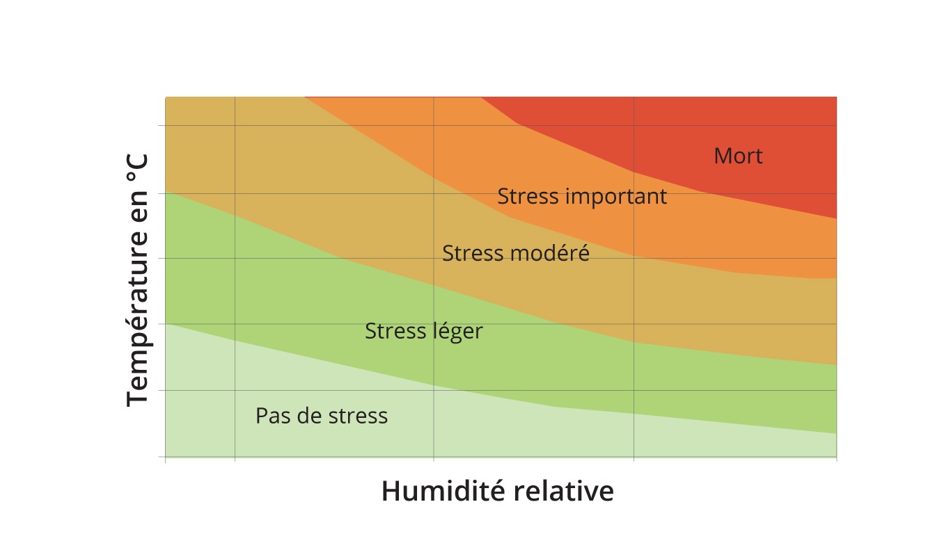 Mesure Du Confort Thermique Stress Thermique Thermo