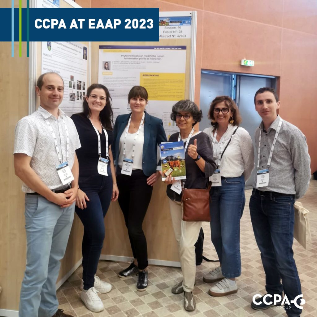 Equipe CCPA EAAP 2023